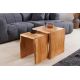 Masute Living - Set de 2 masute din lemn de salcam MAMMUT