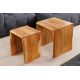 Masute Living - Set de 2 masute din lemn de salcam MAMMUT
