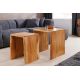Masute Living - Set de 2 masute din lemn de salcam MAMMUT