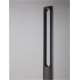 Stalpi - Stalp LED exterior din aluminiu antracit IP65 Dira H-200cm