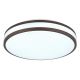 Plafoniere - Plafoniera LED RGB cu telecomanda BETHA D-34cm