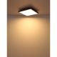Plafoniere - Plafoniera LED aluminiu argintiu, MDF gri DORO 45x45cm