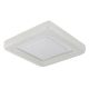 Plafoniere - Plafoniera LED alba cu plastic sparkle MARCIA