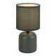 Lampa de masa ceramica si abajur verde Daphni