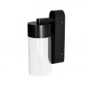 Aplica de perete LED metal negru si sticla Fusion