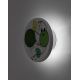 Iluminat pentru copii - Aplica camera copii motiv broscuta si baloane Froggo LED CCT