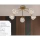 Lustre aplicate - Lustra aplicata 5 becuri metal auriu Astral