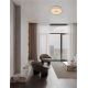 Plafoniere - Plafoniera LED HELIOS auriu champagne D-50cm