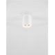 Plafoniere cu spoturi, Spoturi aplicate - Spot aplicat LED design tehnic IRIS alb