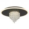 Plafoniera LED design elegant Deluge negru