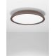 Plafoniere - Lustra LED aplicata stil modern FELICIA maro 60cm