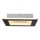 Plafoniere - Plafoniera LED cu telecomanda Squary 39cm