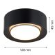 Plafoniere cu spoturi, Spoturi aplicate - Spot tavan, Mini plafoniera ELORA 8905 negru