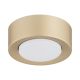 Spot tavan, Mini plafoniera ELORA 8903 auriu