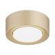 Plafoniere cu spoturi, Spoturi aplicate - Spot tavan, Mini plafoniera ELORA 8903 auriu