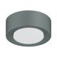 Plafoniere cu spoturi, Spoturi aplicate - Spot tavan, Mini plafoniera ELORA 8917 night sage