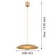 Pendule, Lustre suspendate - Lustra suspendata LED BOLTON 8869 auriu
