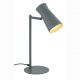 Lampa cu spot directionabil LORD 8872 salvie