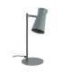 Lampi birou - Lampa cu spot directionabil LORD 8872 salvie