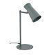 Lampi birou - Lampa cu spot directionabil LORD 8872 salvie