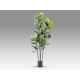 Aranjamente florale LUX - Planta artificiala decorativa Higuera violin, H250