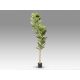 Aranjamente florale LUX - Planta artificiala decorativa Higuera violin, H200