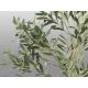 Aranjamente florale LUX - Planta artificiala decorativa Olivo, H180