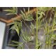 Aranjamente florale LUX - Planta artificiala decorativa Bambu, H170