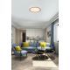 Plafoniere - Plafoniera LED design modern Galactic alb, auriu