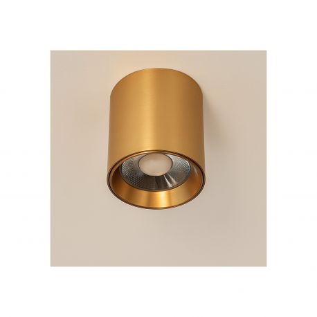 Plafoniere cu spoturi, Spoturi aplicate - Spot aplicat auriu LED BABIL 10W CCT