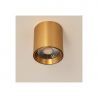 Spot aplicat auriu LED BABIL 10W CCT