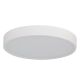 Plafoniera LED CCT, Protectie IP44, Senzor de miscare, PANDINO 23cm alb