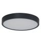 Iluminat pentru baie - Plafoniera LED CCT, Protectie IP44 PANDINO 30cm negru