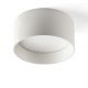 Plafoniere cu spoturi, Spoturi aplicate - Spot LED aplicat tavan MIZU 15W alb
