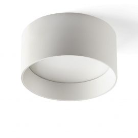Plafoniere cu spoturi, Spoturi aplicate - Spot LED aplicat tavan MIZU 15W alb