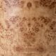 Scaune - Scaun design LUX, Furnir Burl Mappa, Maro, Arcadia