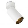 Spot LED aplicat tavan directonabil STAN 3000K alb