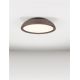 Plafoniere - Lustra LED aplicata stil modern FELICIA maro 45cm