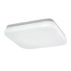 Plafoniere - Plafoniera pentru exterior, Protectie IP44 Lowar 24cm