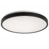 Plafoniera pentru baie, Protectie IP44 Alenzo D-42cm negru, alb