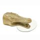 Masute Living - Masuta suspendata design WILDLIFE CROCODILE 75cm