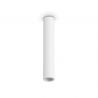 Spot aplicat tavan LOOK PL1 ROUND D70 H400 GESSO