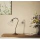 Veioze - Lampa de masa stil neoclasic din alama si sticla Elide
