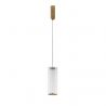 Pendul LED design decorativ ESSENZO