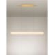 Pendule, Lustre suspendate - Lustra LED suspendata design liniar NOLIA