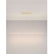 Pendule, Lustre suspendate - Lustra LED 2700K suspendata design liniar PHEME auriu periat