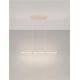 Pendule, Lustre suspendate - Lustra LED 3000K suspendata design liniar PHEME auriu periat