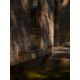 Aplice - Aplica LED de exterior solara cu senzor IP54 Marcellio maro