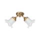 Plafoniera, Lustra tavan din alama 2 Floral Glass Bell