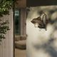Aplice - Aplica de perete exterior design industrial Chronos